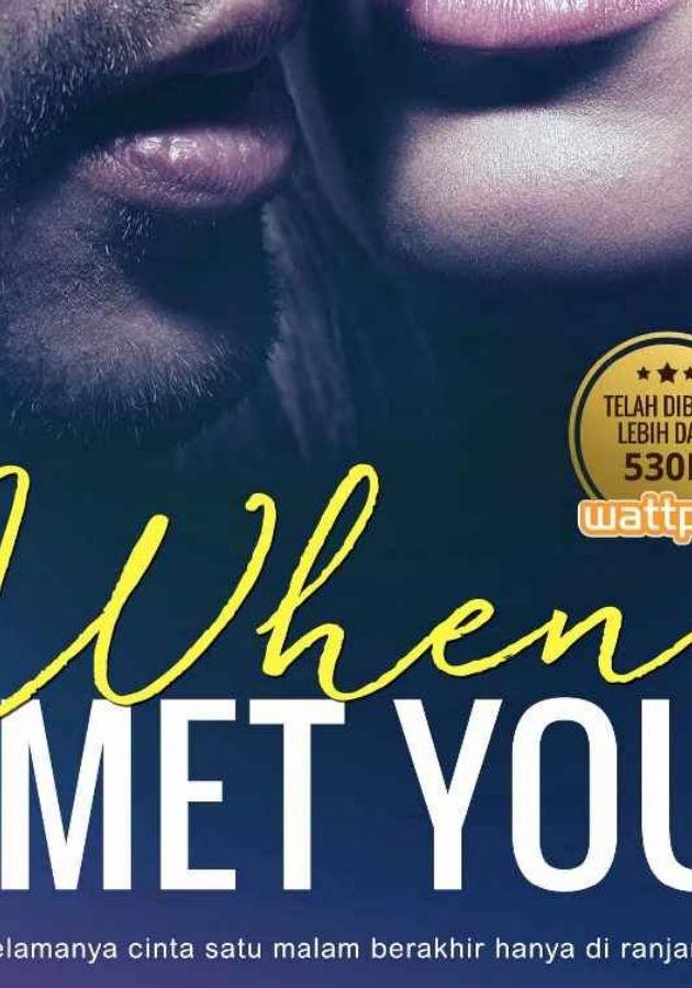 When I Met You